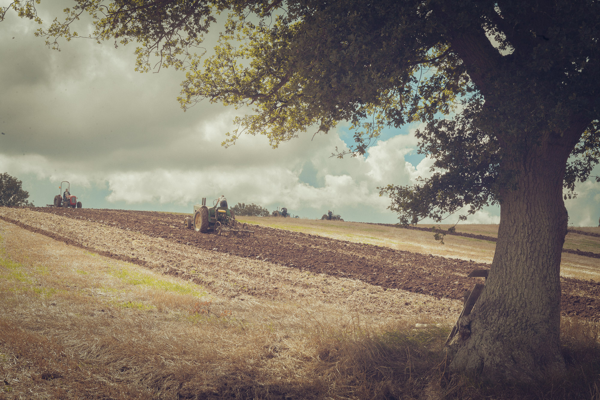 Bygone Farming In Somerset